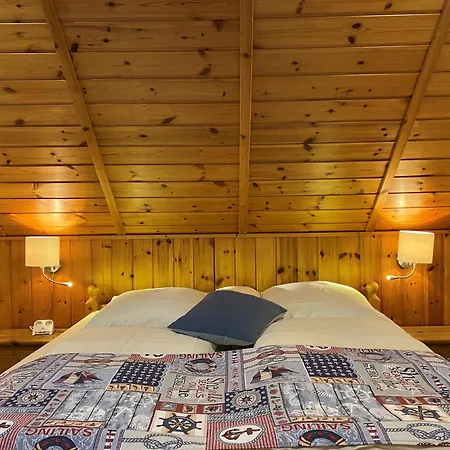 Casa de hóspedes Schumacher's - Buecherhotel