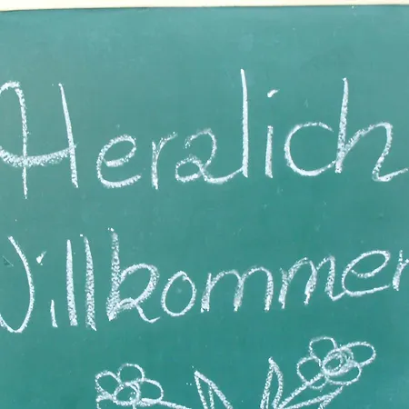 Schumacher's 3*